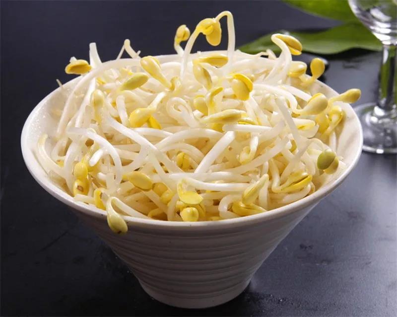 酸辣绿豆芽，超美味，绝对的下饭菜！